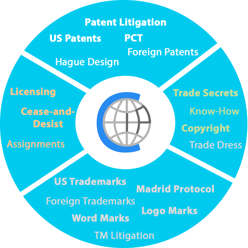 Full 360 IP Law Services by CIONCA IP